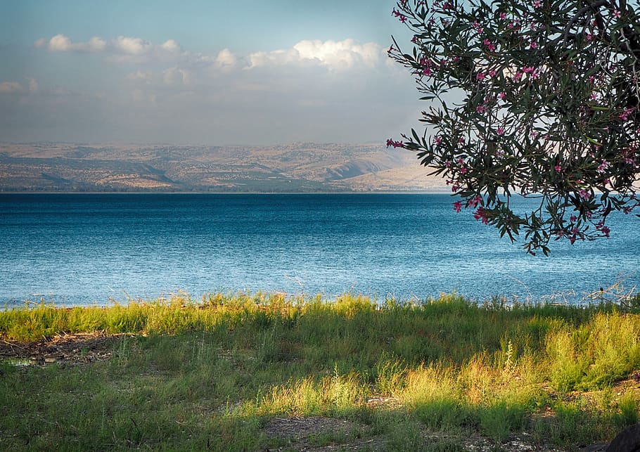 sea, sea of galilee, galilee, tabgha, lake, water, tiberias, israel, landscape, biblical