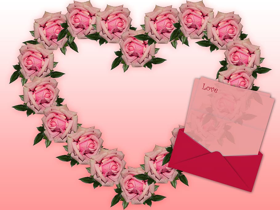 heart, card, heart of roses, dedicated, romantic, love, background, color, pink, rosa