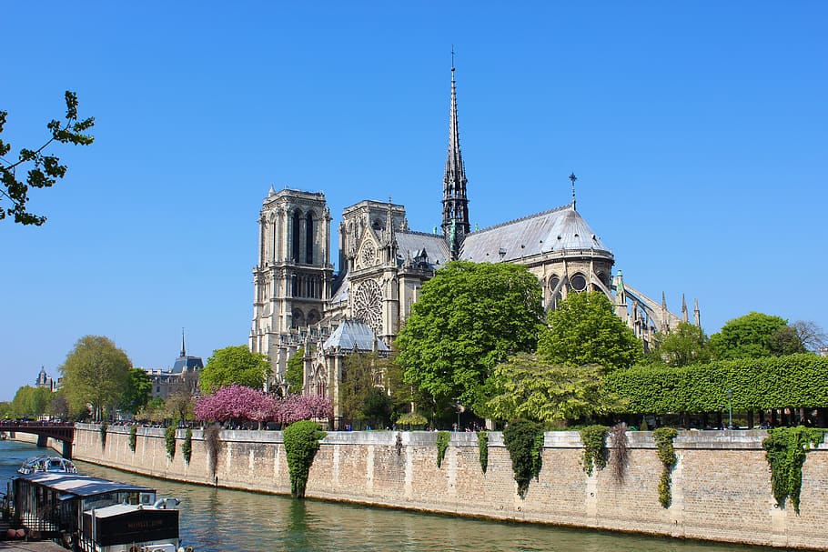 París, Francia, Notre Dame, arquitectura, iglesia, ciudad, catedral, Árbol, estructura construida, cielo