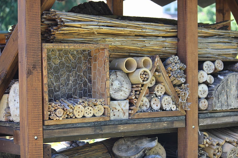 insect hotel, bees, wild bees, bee hotel, wild bee hotel, nesting help, environmental protection, ecology, wood, nature