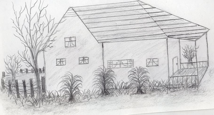 drawing, art, house, tree, outside, sketch, architecture, plant, building, building exterior