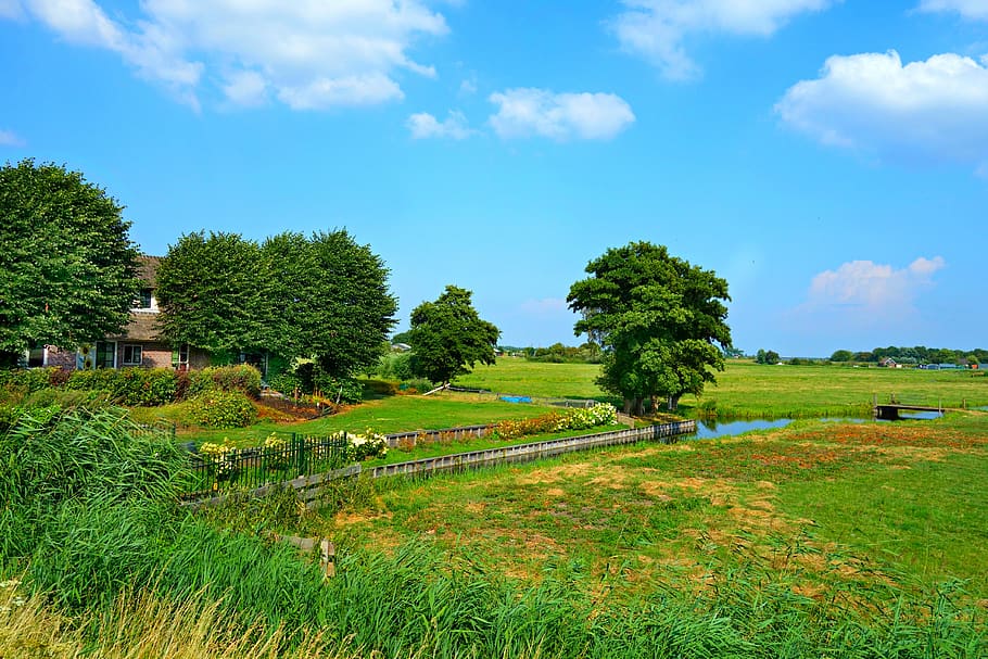 dutch landscape, farmhouse, meadows, polder, rural, countryside, typically dutch, characteristic, north holland, flat
