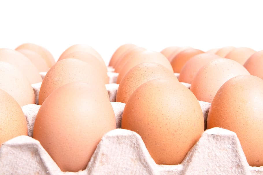 huevos, caja, huevo, aislado, proteína, alimentos, marrón, arriba, crudo, paquete