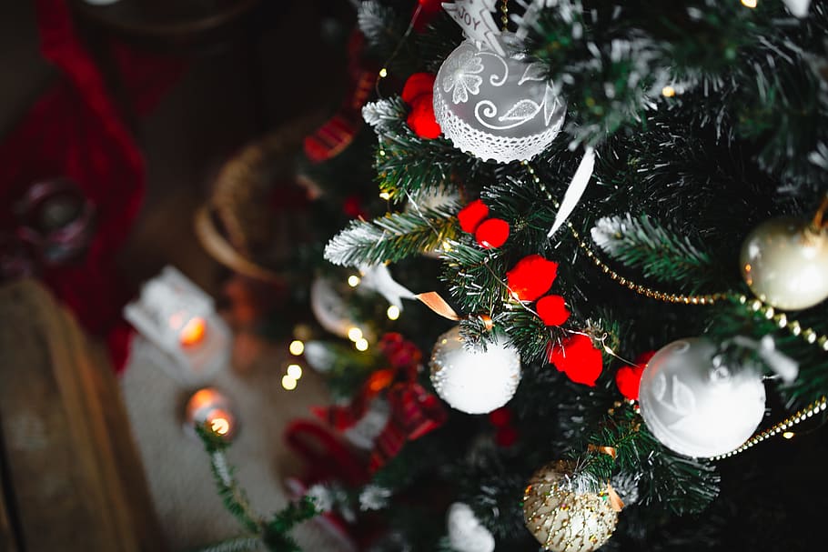 berbagai bola natal, liburan, dekorasi, natal, xmas, bola, ornamen, perayaan, dekorasi natal, pohon natal