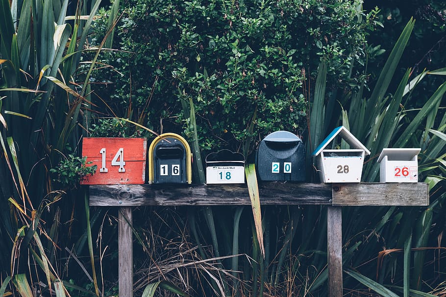 mailboxes, numbers, plants, plant, communication, text, mailbox, nature, day, mail