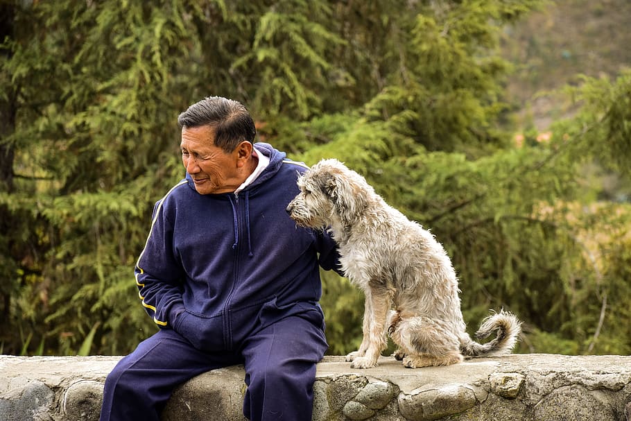 older, dog, old man with his dog, pet with its master, one person, mammal, domestic animals, pets, domestic, one animal