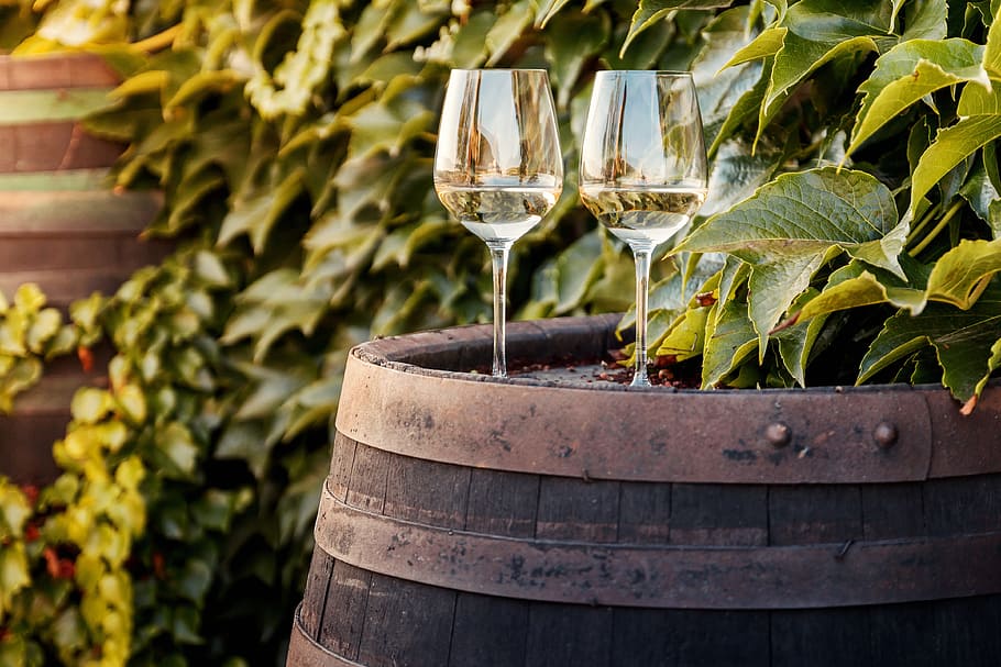 wine barrel, two, glasses, white, vineyard, drink, alcohol, food and drink, wine, refreshment