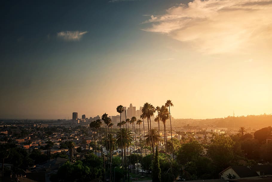 закат в Лос-Анджелесе, Сити и Урбан, США, небо, построенная конструкция, Внешний вид здания, архитектура, закат солнца, город, дерево