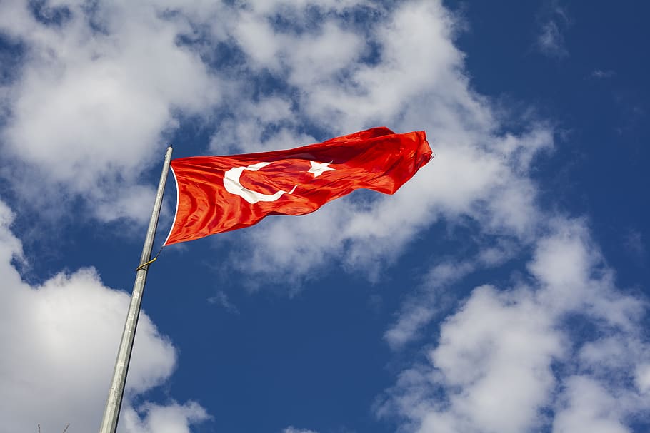 bandeira, vermelho, branco, azul, cor, luz, Turquia, turco, independência, solto