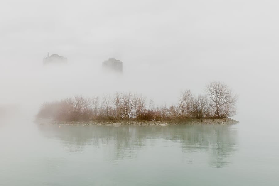 fog, covered, city waterside, trees, top, buildings, background, cloud, river, winter