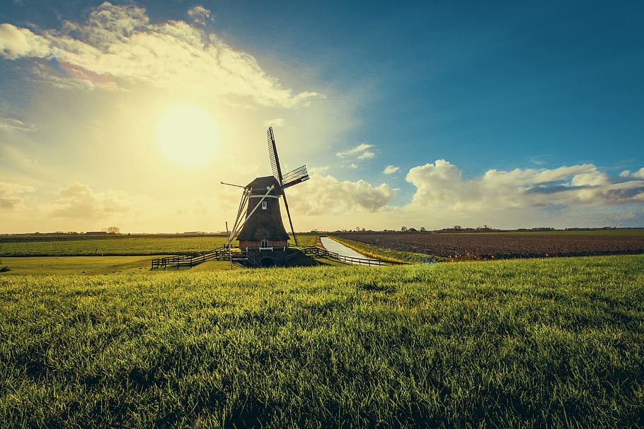 windmill, farm, field, summer, spring, blue sky, green, grass, nature, wind