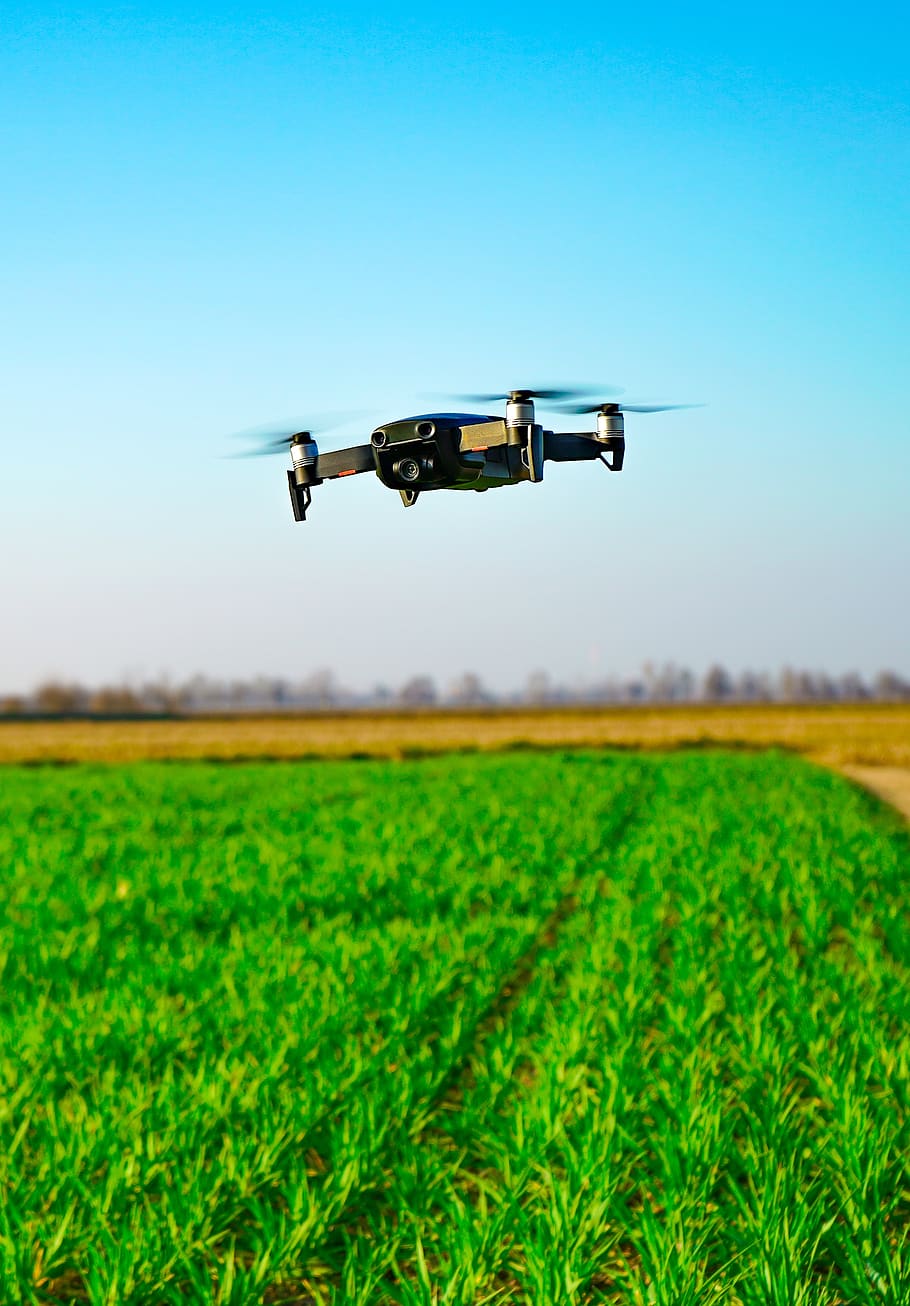 drone, dji, in flight, flight, campaign, green, outdoors, agriculture, land, landscape