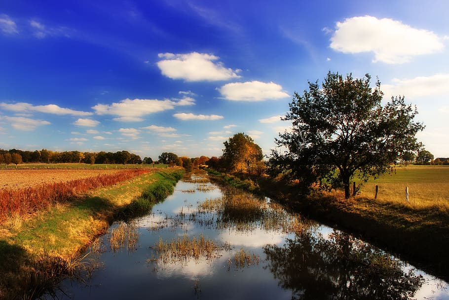 río, todos, norte de alemania, otoño, agua, nubes, cielo, banco, árboles, reflejo