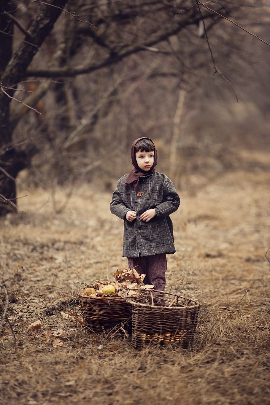 chico, la urss, manzanas, otoño, huerto de manzanas, guerra, después de la guerra, pobre, comunismo, canasta