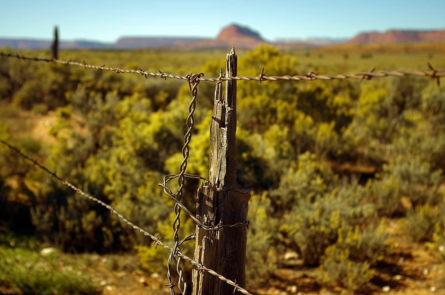 grand staircase escalante fence, fence, barbed, wire, barrier, border, demarcation, obstacle, boundary, fencing