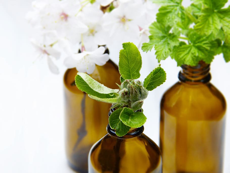 glass, bottles, vial, apple blossom, pharmacy vial, aromatherapy, essential oils, wellness, fragrance, perfume