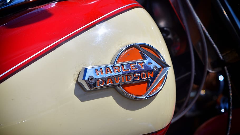 harley davidson, bike, motorcycle, harley, motorbike, davidson, transportation, harley-davidson, icon, mode of transportation
