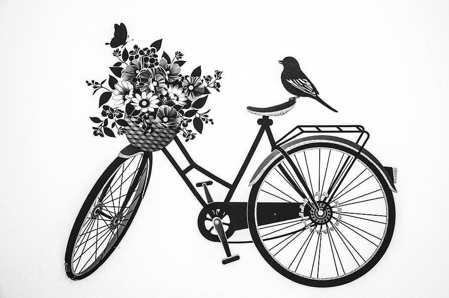 bycicle, bird, deko, black, white, model, young, attractive, bicycle, transportation