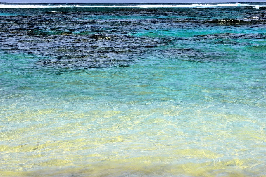 caribe, agua, mar, transparencia, playa, naturaleza, coral, bar, feriado, arena