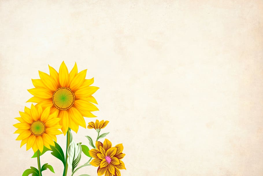 amarelo, fundo da flor, flor, fundo, floral, fronteira, quadro de jardim, vintage, cartão, arte