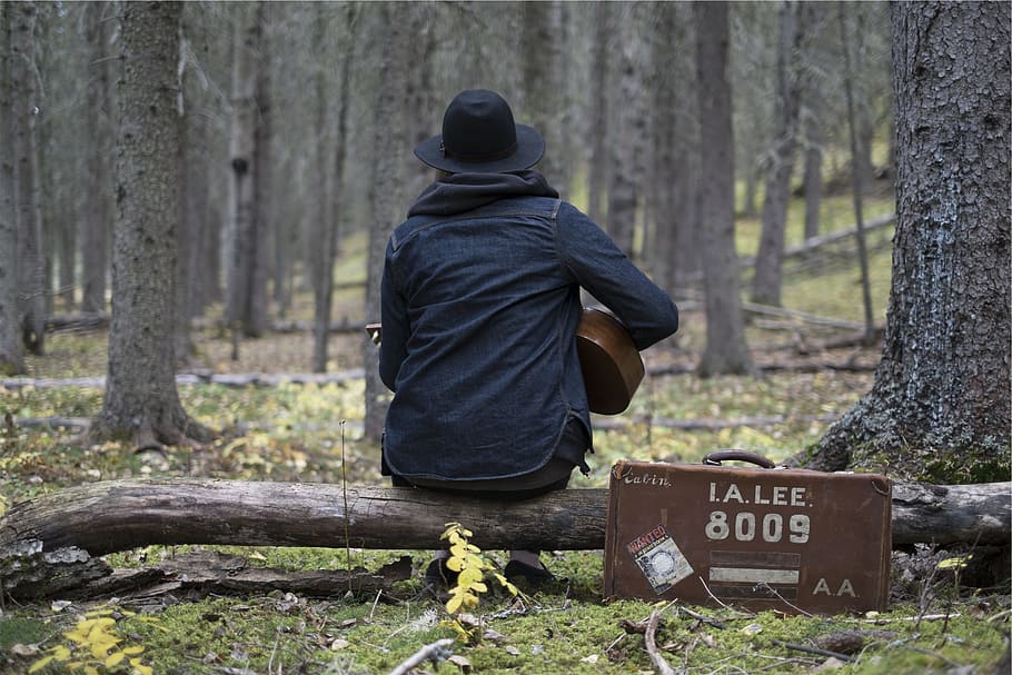músico, guitarra, instrumento musical, música, bosque, maderas, naturaleza, estuche, personas, árbol
