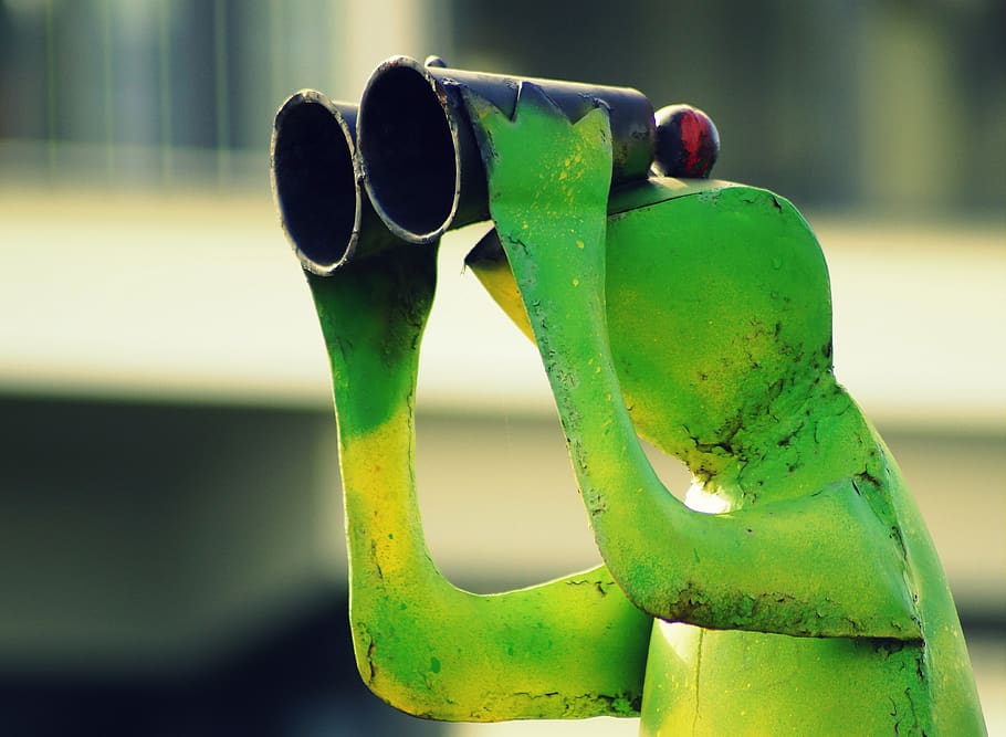 frog, binoculars, green, distant, viewpoint, telescope, watch, distant view, lookout, view