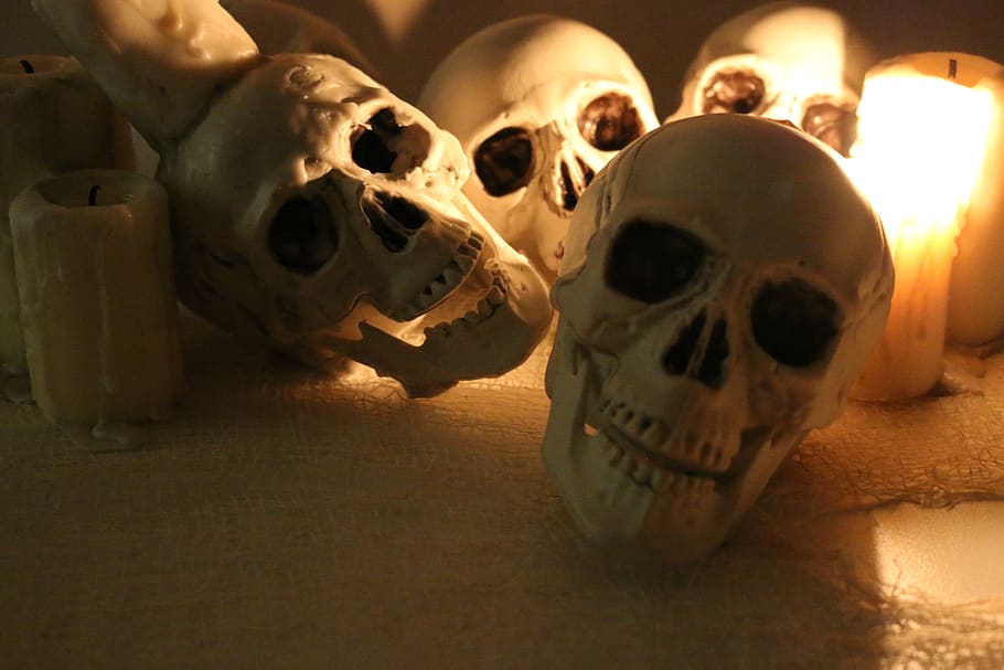crânios, crânio allover, dia das bruxas, halloweendeco, festa de halloween, assustador, sombrio, morte, velas, esqueleto humano