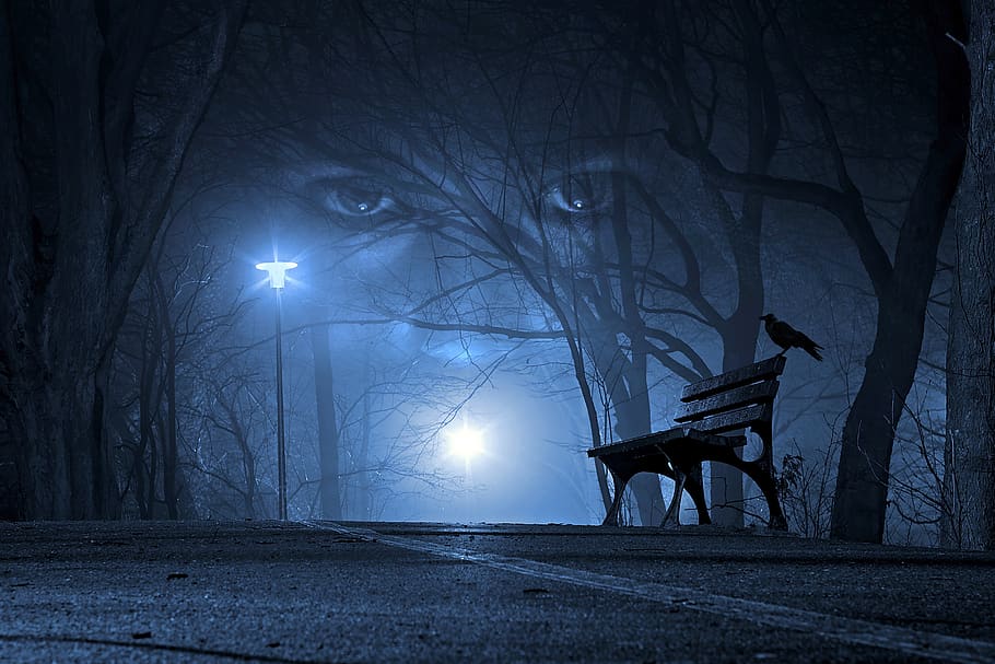 eyes, night, road, woman, crow, forest, mystic, gothic, spectral, bench