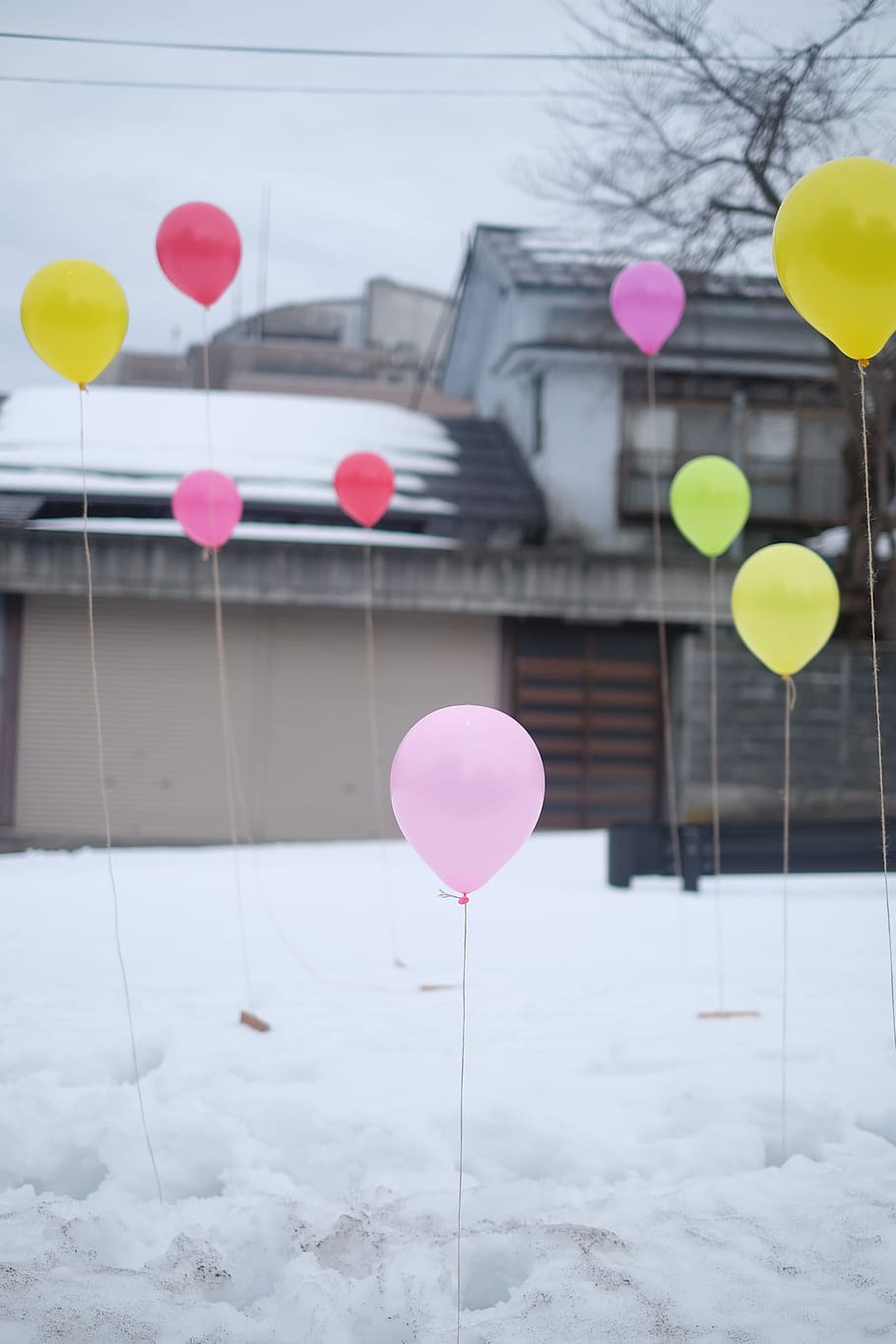 globos, fiesta, nieve, entrada de auto, casa, invierno, frío, hogar, cumpleaños, globo