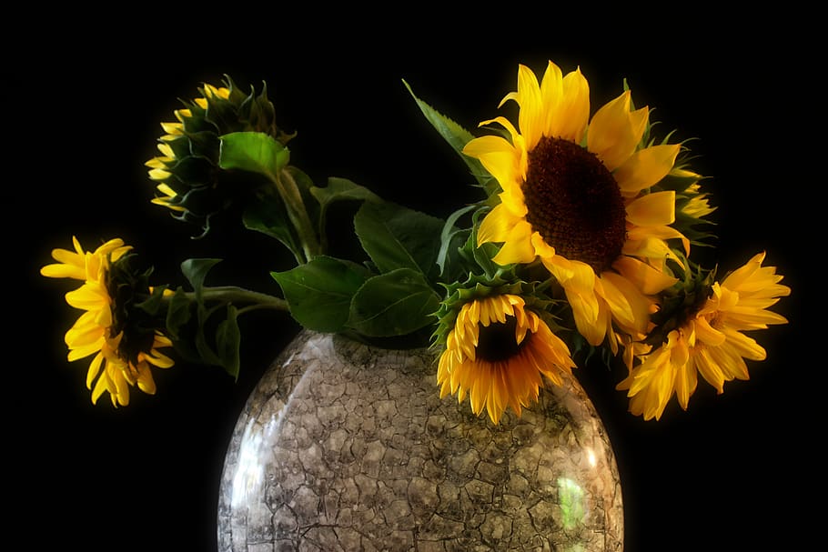 Sunflower Vase Bouquet Yellow Flowers Decoration Summer