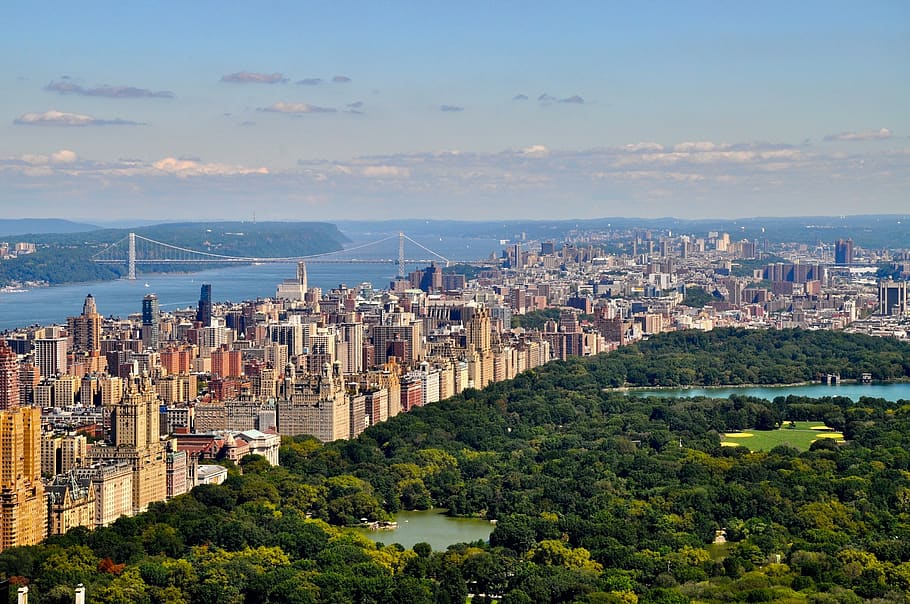 Manhattan, Nueva York, Estados Unidos, América, rascacielos, parque, verde, gran ciudad, Central Park, edificio