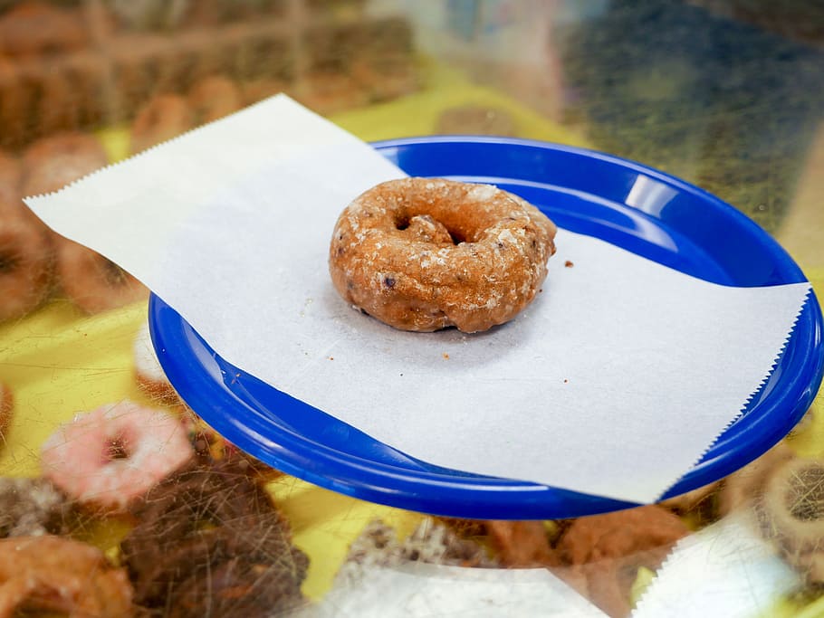 blueberry donut, sitting, blue, plate, shop., bakery, breakfast, calories, chocolate, colorful