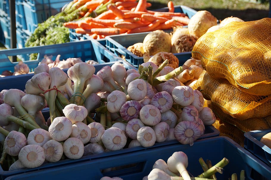 mercado, legumes, fresco, mercados, venda, carrinho, saudável, vegetariano, produtos, alho