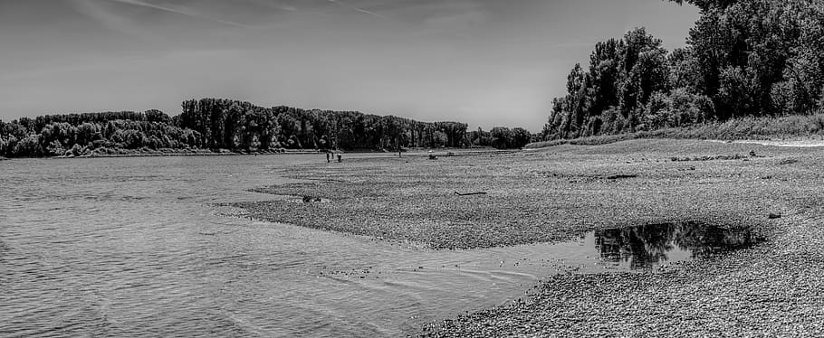 rhine, low tide, drought, lack of water, dehydrated, riverbed, pebble, gravel, panorama, hdr