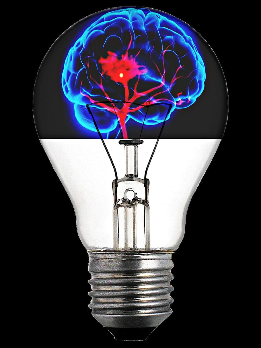 otak, filamen, cahaya, bohlam, listrik, elektronik, objek, sains, peralatan pencahayaan, diterangi