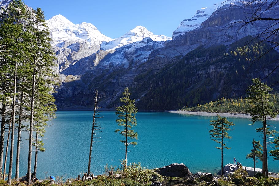 montaña, lago, suizo, nieve, agua, azul, verde, árbol, bosque, madera