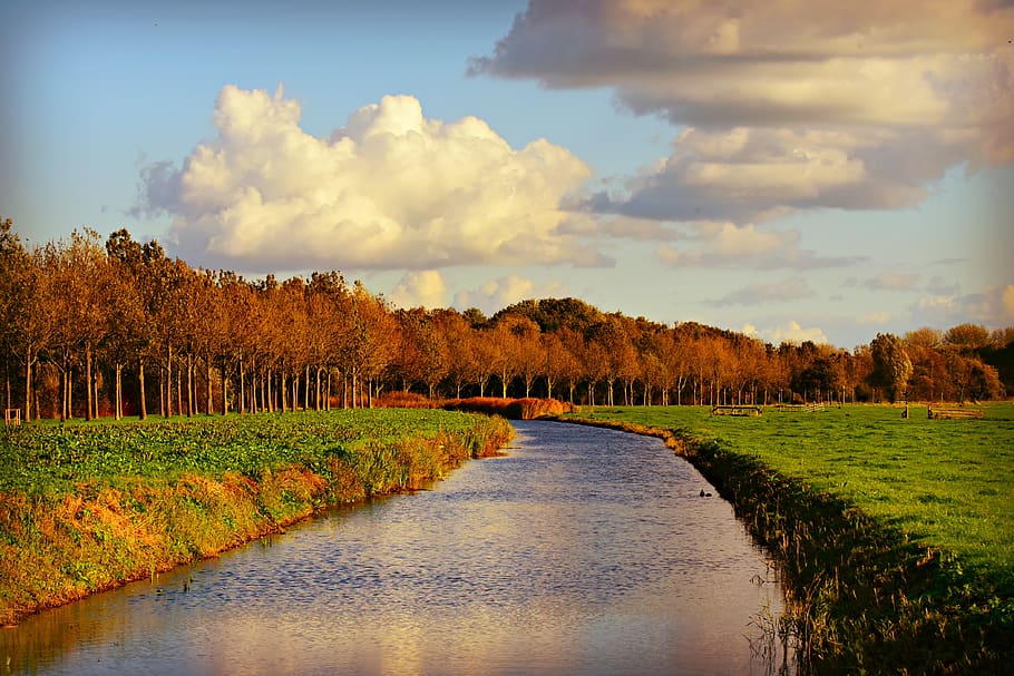 canal, campo, pólder, paisaje holandés, países bajos, árboles, borde del bosque, nubes, cielos, rural