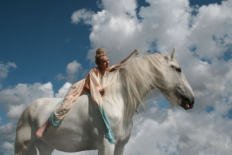 pengendara, gadis, kuda, kuda putih, shire, langit, surgawi, matahari, kecantikan, tenang