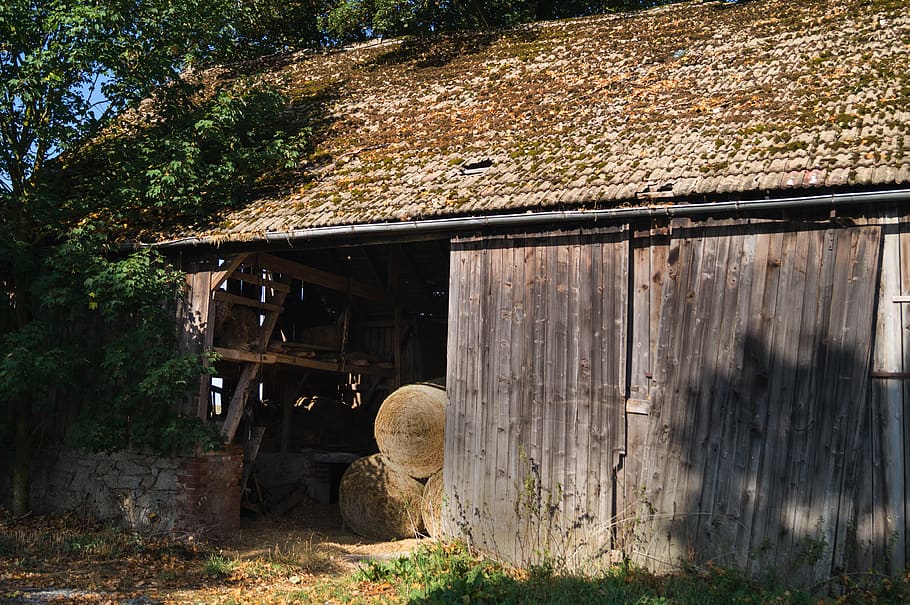 old barn, agriculture, hay bales, straw, cattle feed, drought, harvest, hay, field, rural