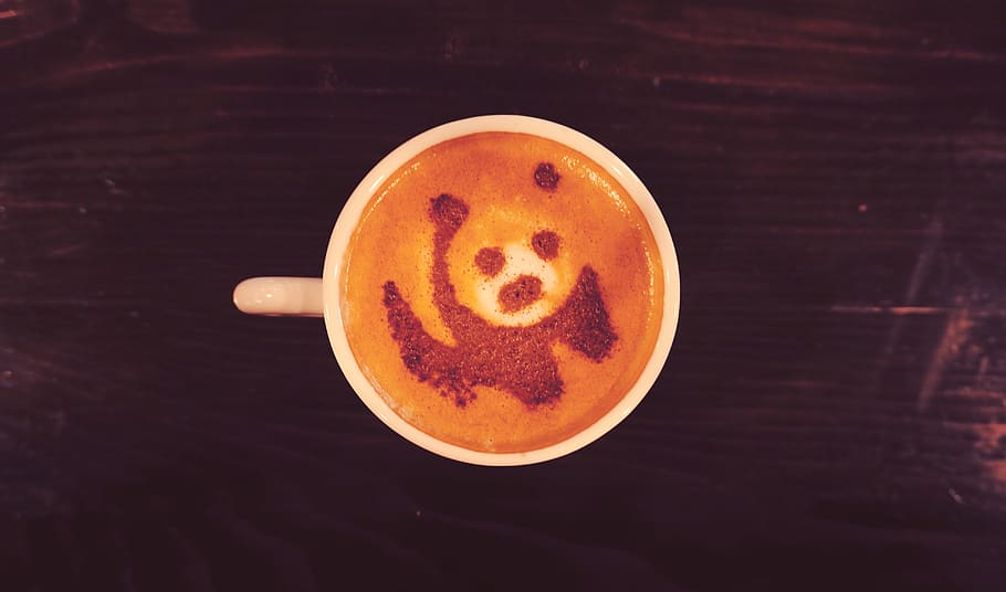 panda bear, kopi, panda, beruang, cub, bear, cappuccino, coffee shop, minuman, minuman panas