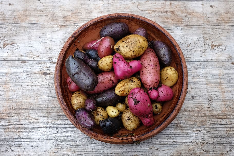 potatoes, harvest, autumn, color, heart, garden, healthy, erdfrucht, food and drink, food