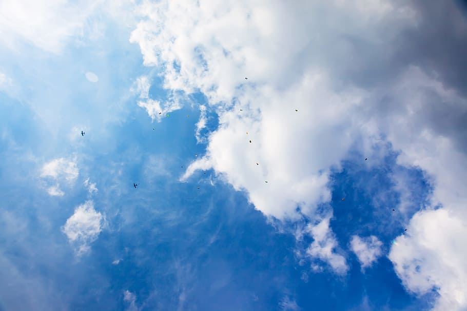langit, penerbangan, terjun payung, orang, skydiver, skydivers, risiko, biru, di luar ruangan, olahraga