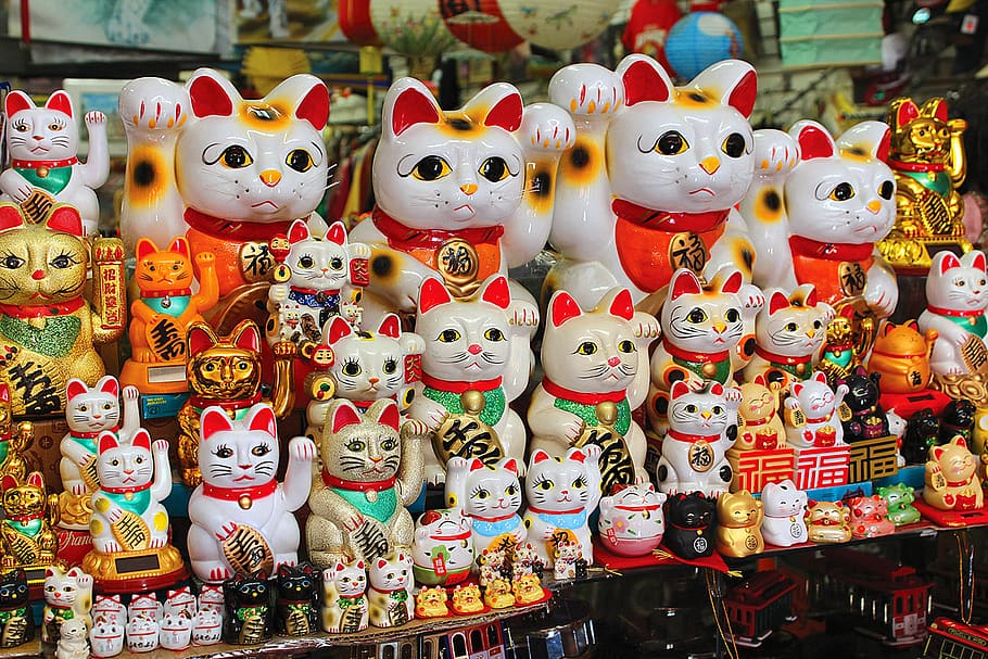 asiático, japonés, cultura, tradicional, japón, este, gatos, barrio chino, maneki neko, auspicioso