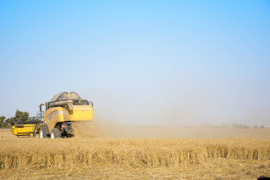 israel, wheat field, tractor, yellow, field, agriculture, wheat, harvest, summer, grain