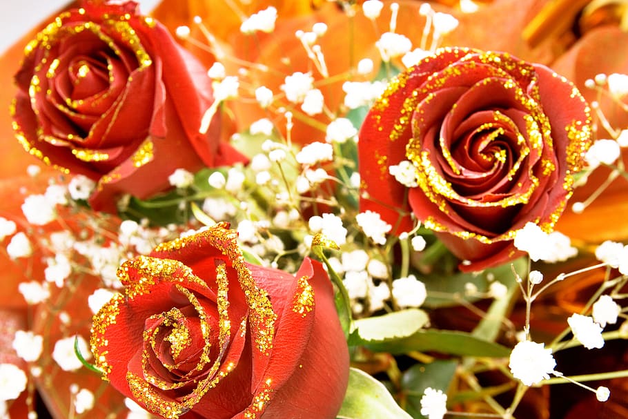 rose, red, stem, background, valentines, decoration, concept, closeup, green, floral