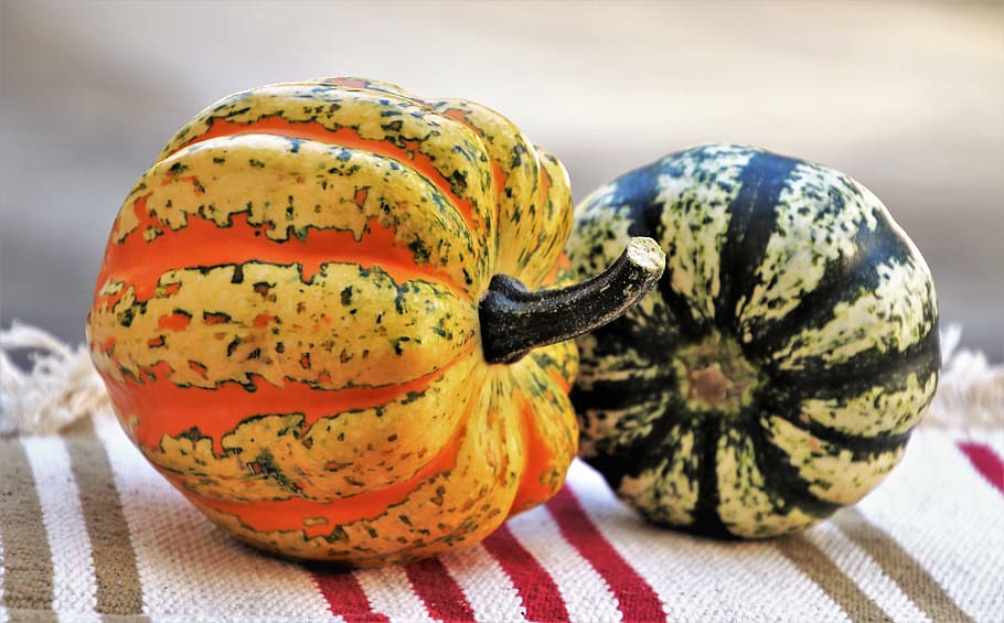 pumpkins, autumn, halloween, in the fall, yellow, pumpkin, varieties, garden, food, season