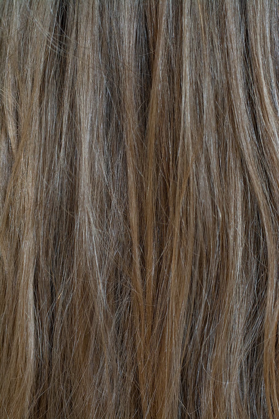 rambut, rambut manusia, pirang, pirang tua, perempuan, close up, latar belakang, gaya rambut, bingkai penuh, rambut panjang