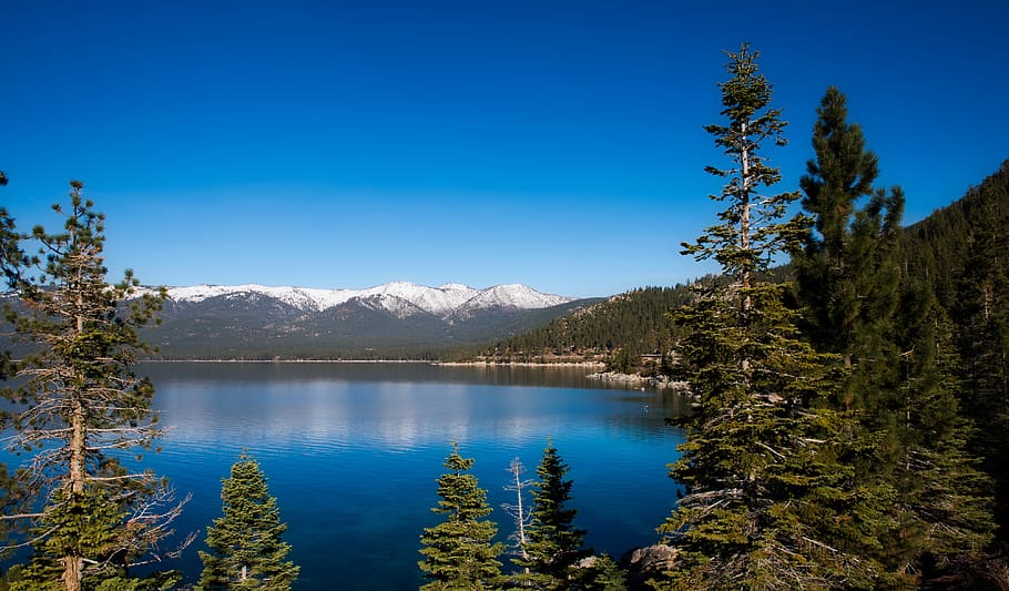 lake tahoe, tourism, reflections, landscape, forest, trees, woods, nature, outdoors, country
