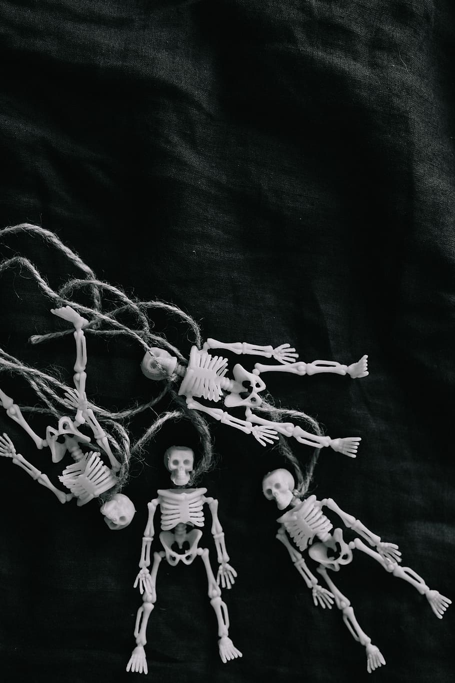 halloween, -, manusia, miniatur kerangka, mainan, tengkorak, seram, oktober, tulang, anatomi