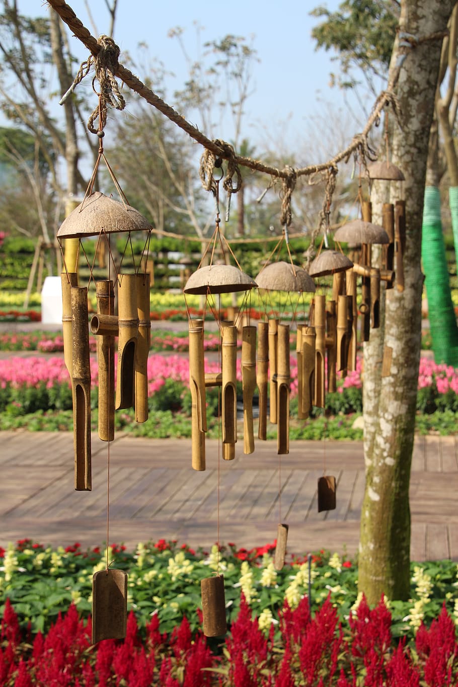 wind chimes, bamboo, waipu, charm, plant, flower, flowering plant, nature, hanging, tree